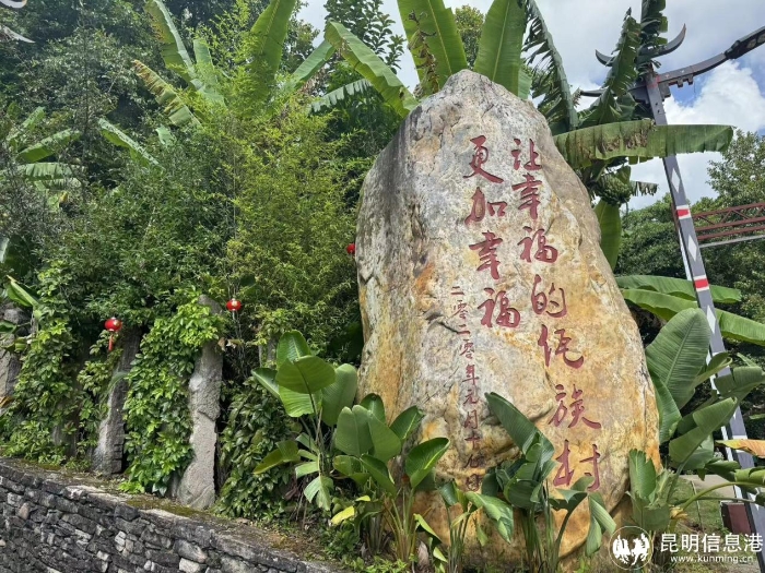 图片6